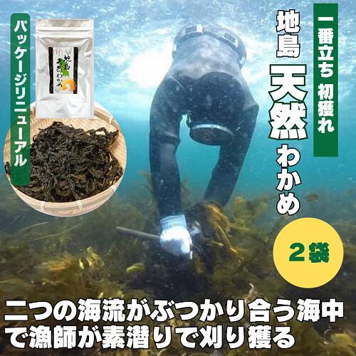 【新物】　漁師が厳選したわかめ使用　「献上わかめ 地島天然わかめ（一番立ち 初獲れ）」×2袋　【冷蔵】【令和6年産】