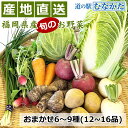 産地直送 野菜 旬の おやさい 6~9種 (12~16品) セット 福岡 野菜 福袋 九州【冷蔵】 母の日 ギフト お中元 お歳暮 苺 キャベツ 白菜 里芋 じ...