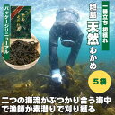 天然 塩蔵 わかめ 500g (100g 5袋) 地島 献上わかめ (一番立ち 初獲れ) ワカメ 国産 海藻 サラダ 福岡 保存食 【冷蔵】【令和7年度産】 お...