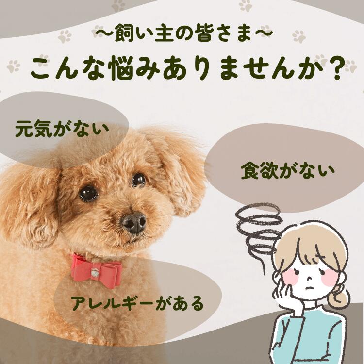 【7月18日ポイント5倍】馬の骨 犬 おやつ 無添加 愛犬用 馬骨 ジャーキー 3本入り ...