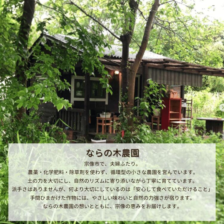 【10日までタイムセール】【農薬・化学肥料・除草剤不使用】 ハーブ ソルト 3種 セ...