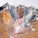 明神丸水産 干物 5点セット 【冷凍】 お中元 夏ギフト 干物 干物セット 福岡 玄界灘 お取り寄せ グルメ おつまみ バーベキュー BBQ キャンプ 父の日 ギフト 贈り物 母の日 贈答 烏賊 海鮮 魚介 魚介類 海産物 海の幸 送料無料