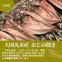 アジの開き ×10枚 【冷凍】 干物 干物セット 父の日 ギフト 福岡 玄界灘 お取り寄せ グルメ おつまみ バーベキュー BBQ キャンプ お歳暮 お中元 母の日 贈り物 贈答 烏賊 海鮮 魚介 魚介類 海産物 海の幸 送料無料