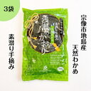 わかめ 塩蔵わかめ 200g ×3袋 冷蔵 地島産 長期保存 肉厚 塩蔵 湯通し ワカメ 若布 国産 無添加 産地直送 お取り寄せ 新鮮 福岡 宗像市 みそ汁の...