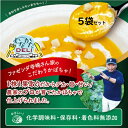 かぼちゃ スープ 150g ×5袋 【冷凍】 国産 濃厚 カボチャ ポタージュ 父の日 ギフト 冷凍食品 簡単 お取り寄せ 送料無料 無添加 野菜スープ ハロウ...