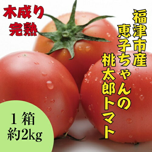 トマト 約2kg 箱入り 【冷蔵】 とまと 野菜 福岡県産 福津市産 産地直送 お取り寄せ 贈答 甘い 完熟 美容 健康 ダイエット サラダ ソース ピューレ リコピン 送料無料