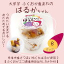 みんな大好き黒糖風味の大学芋 ふくおか産まれ「はるかちゃん」×8パック　【冷凍】【ふくおかエコ農産物認証「紅はるか」使用】