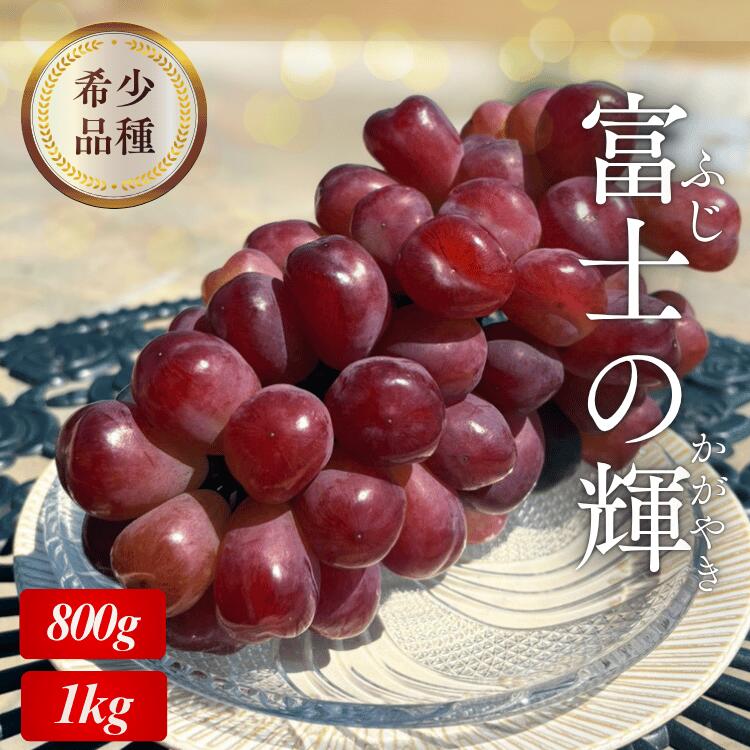 【幻の超希少品種】富士の輝 (約800g／約1kg）季節限定 福岡 国産 フルーツ 果物 大粒 ぶどう 種なし 化粧箱 お中元 お祝い 誕生日 お取り寄せ ギフト グルメ デザート 九州 贈答 送料無料