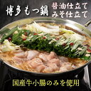 お歳暮 博多 もつ鍋 味噌仕立て セット 2〜3人前 牛 シロモツ 300g 麺付き 【冷凍】 母の日 ギフト お中元 味噌もつ鍋 国産 ホルモン モツ鍋 めん...