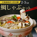 敬老の日 ギフト 鯛しゃぶセット(2〜3人前) 国産 天然真鯛 鍋 お歳暮 ギフト お中元 家庭用 高級感玄界灘 鐘崎産 特選鍋だし お土産 道の駅 九州 敬老...