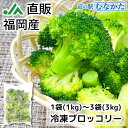 ブロッコリー 急速冷凍で鮮度そのまま!『冷凍ブロッコリー1kg』 ×1袋~ 野菜 福岡県産 産地直送 お取り寄せ 贈答 完熟 美容 健康 ダイエット サラダ 送...