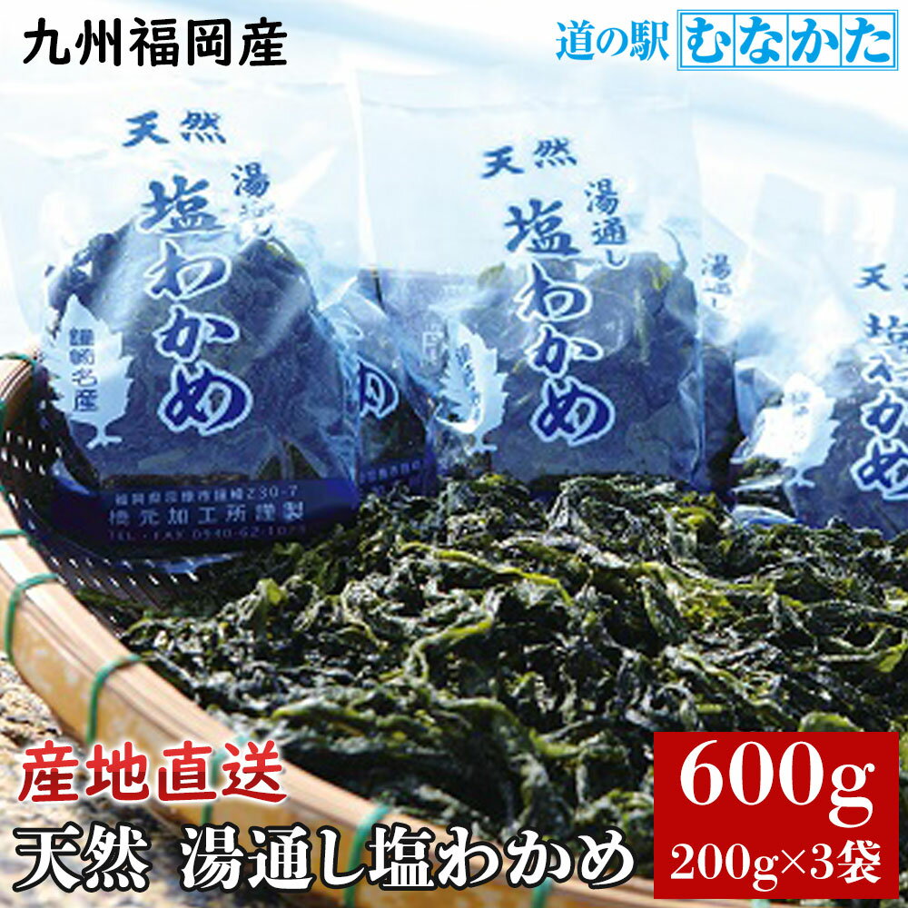 天然 湯通し 塩蔵わかめ 600g (200g 3袋) 鐘崎産 ワカメ 海藻 福岡 玄海灘 【冷蔵】【令和6年度産】 国..