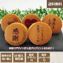 【お中元】敬老の日 どら焼き ギフト メッセージ付 絵文どら 1箱10個入 お中元 名入れ 福島県 エモどら 和菓子 スイーツ オリジナル プレゼント お祝い
