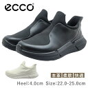 ECCO エコー BIOM 2.2 W レディース シューズ 830823 51052 59113 ウィメンズ ウォーキング スニーカー レザー 革 歩きやすい...