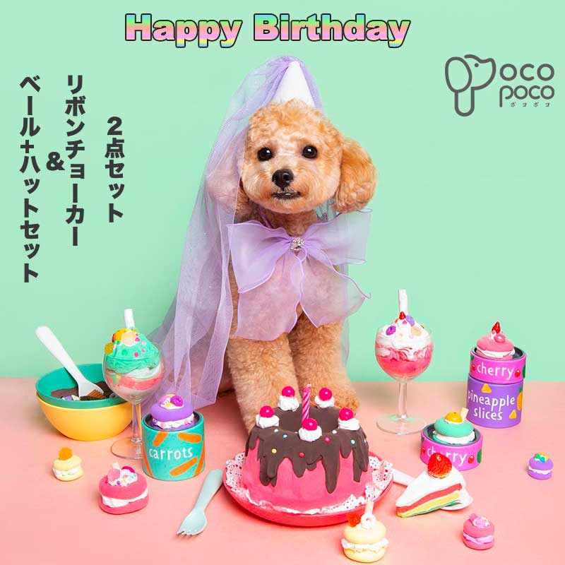 チュールベール 帽子 ハット バースデー 誕生日 ネコ 犬