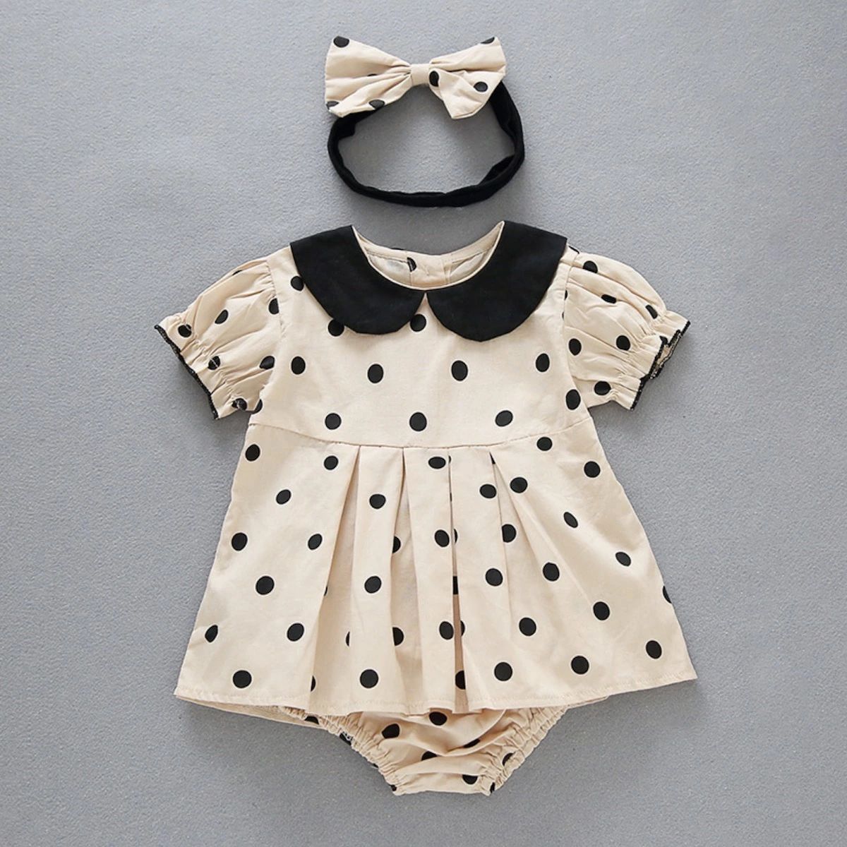 ������� �֤������ �٥ӡ��� �� Ⱦµ ���ԡ��� ���λ�