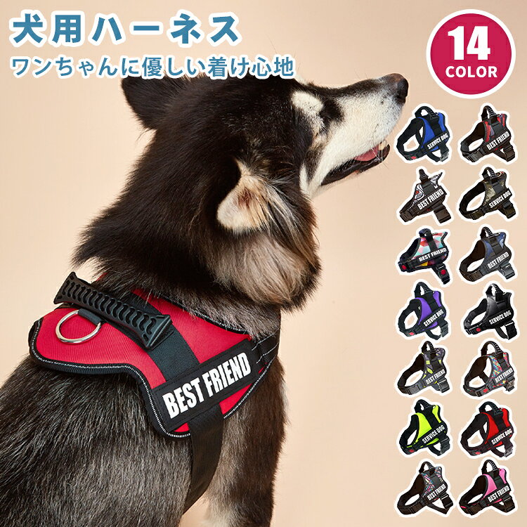 Harness - イニシ 名入れ ハンドル付き 簡単装着 犬具 脱げない 抜けない おしゃれ かわいい 小型犬 迷子札 胴輪 ネーム 名前 ハーネス 犬