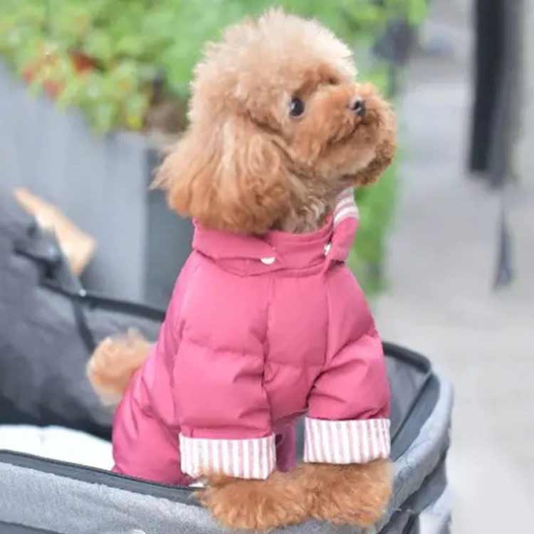 フード付き ダウン風ジャケット 防寒アウター 小型犬用