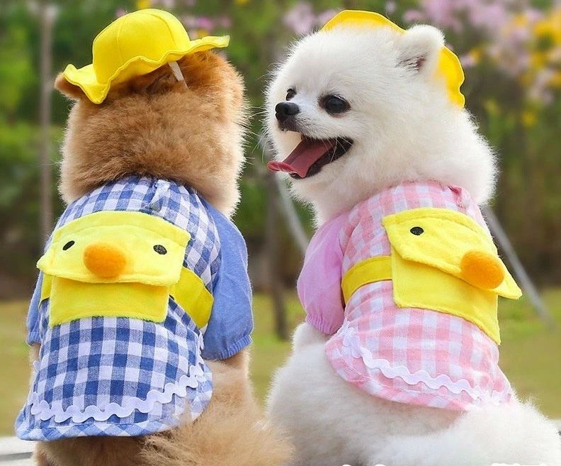 おしゃれ ひよこ アヒル 洋服 袖あり ドッグウェア コスプレ 帽子付き 幼稚園児 コスチューム 犬用 猫用