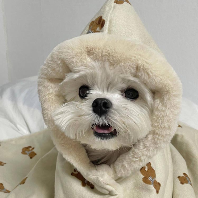 暖かい マント 寒さ対策 部屋着 着る毛布 犬 小型犬 可愛い 猫 猫服 防寒 もこもこ 犬服 クママント 防..