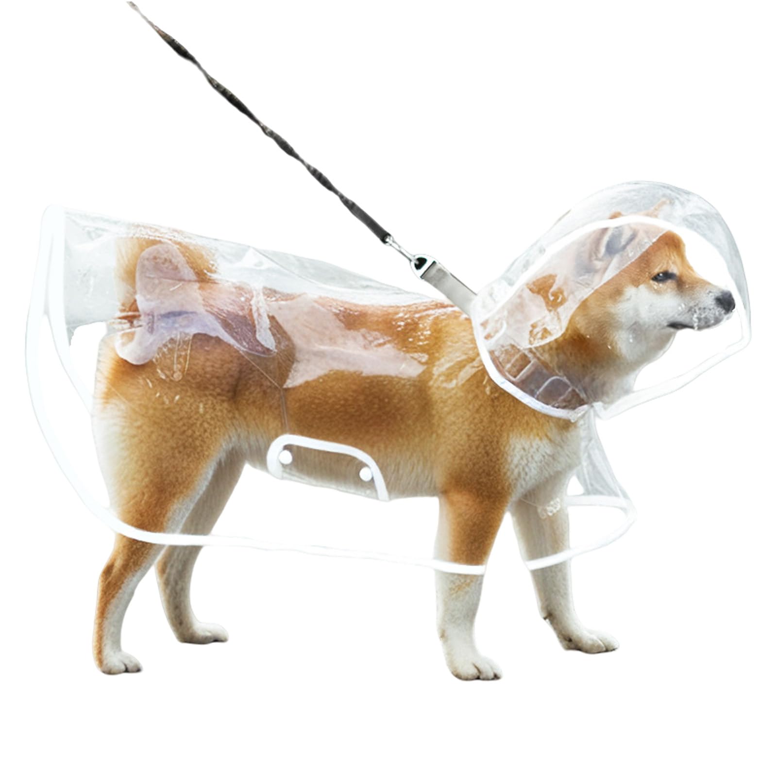 �ɿ����� ������ �淿�� ǭ�� �ڥå��� ���к� ���� ���餫���Ǻ� ��æ��ñ �꡼�ɷ��դ� �������� �ɥ쥹���ԡ��� �ڥåȥ쥤