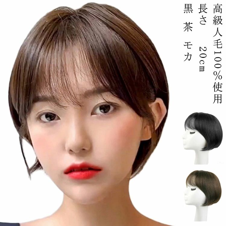 医療用ウィッ 全かつら ふんわり 女性用 レディース パーマ カール フルウィッグ 20cm ミセス モカ 茶 黒 自然色 自然 ショート