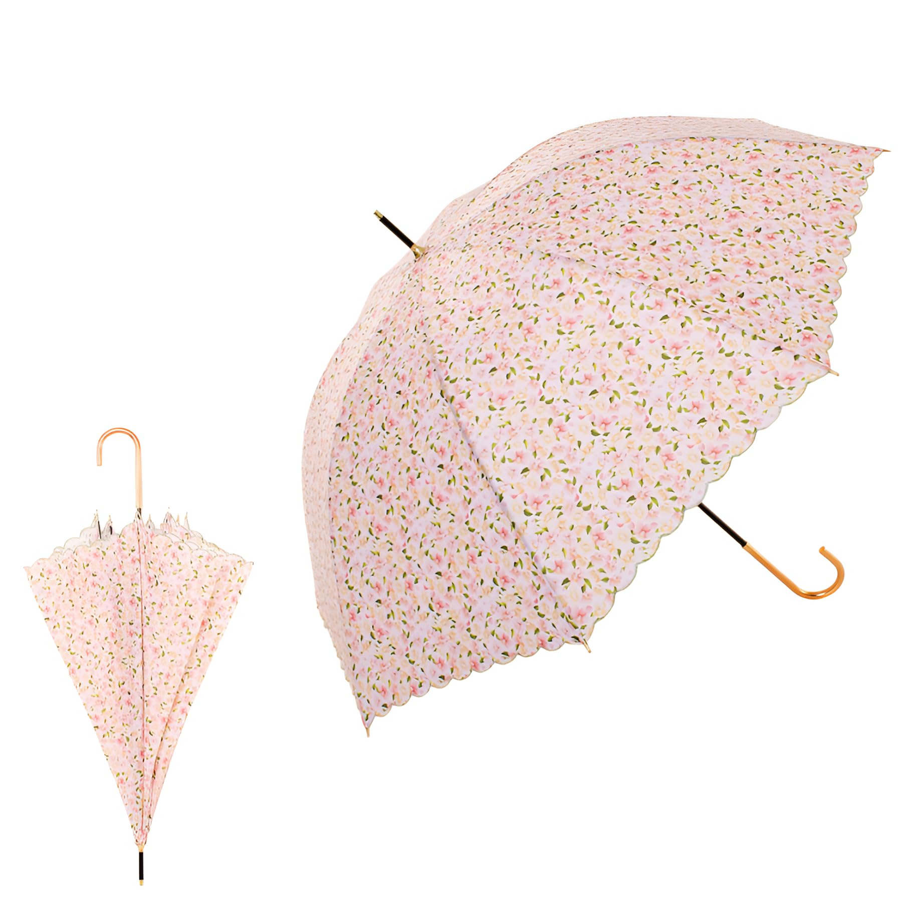 �󥳡��ȥϥ󥬡� �̿��� �� �緿8�ܹ��� �ɽ�����Ĺ�� ����Ū �׸� ���� ���� ���