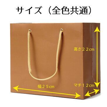 引き出物 紙袋 ブライダルバッグ マチ広 引き出物袋 プチギフト 【ギフトバッグシリーズ】 おしゃれ 結婚式 引出物袋 小 引出物 手提げ袋 小さい ペーパーバッグ イベント 出産 内祝い 誕生日プレゼント お祝い お返し 手提げ紙袋 丈夫 ギフト 引き出物用 ブライダル用