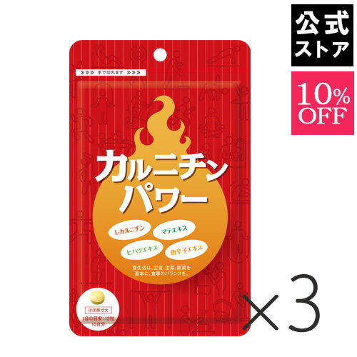 カルニチンパワー　3袋セット｜L-カルニチン たっぷり配合 ダイエット サプリ おうちトレーニング 宅トレ のお供に 