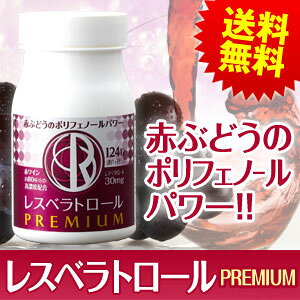 �֤֤ɤ��Υݥ�ե��Ρ���ѥ���쥹�٥�ȥ�����PREMIUM
