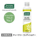 ティーツリー エブリデイ コンディショナー Thursday Plantation ティーツリーコンディショナー 精油 ティーツリーオイル ティートゥリー オーストラリア 人間用 サーズデープランテーション つや