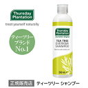 ティーツリー エブリデイ シャンプー Thursday Plantation | ティーツリーシャンプー 精油 ティーツリーオイル ティートゥリー オーストラリア 人間用 サーズデープランテーション 頭皮 臭い におい