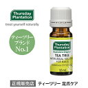 ティーツリーネイルケアソリューション Thursday Plantation 爪 ケア 美容液 トラブル ティーツリーオイル ティートゥリー オーストラリア ボディケア フットケア 足トラブル サーズデープランテーション ティーツリー 爪