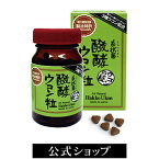 糸状菌醗酵ウコン粒　30日(180粒入) | ウコン 粒 うこん 3種混合 秋ウコン 春ウコン ガジュツ サプリメント 男性 女性 発酵 健康食品 美肌 サプリ 発酵 発酵食品 クルクミン