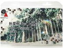 針葉樹キット(大) 100-150mm 12本入【KATO・24-567】「鉄道模型 Nゲージ カトー」(3)