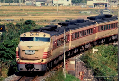 キハ81・82系特急ディーゼルカー(くろしお)増結セットA(3両)【TOMIX・98312】「鉄道模型 Nゲージ トミックス」