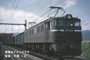 EF60-0形（2次形 茶色）【TOMIX 7146】「鉄道模型 Nゲージ トミックス」