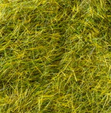 達人芝 老緑（おいみどり） 4mm【KATO・24-437】「鉄道模型 Nゲージ カトー」