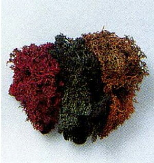 ライケン（ブラウン・ミックス）【TOMIX・8124】「鉄