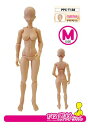 関節技EX 1/12素材ちゃんM ライトフレッシュ
