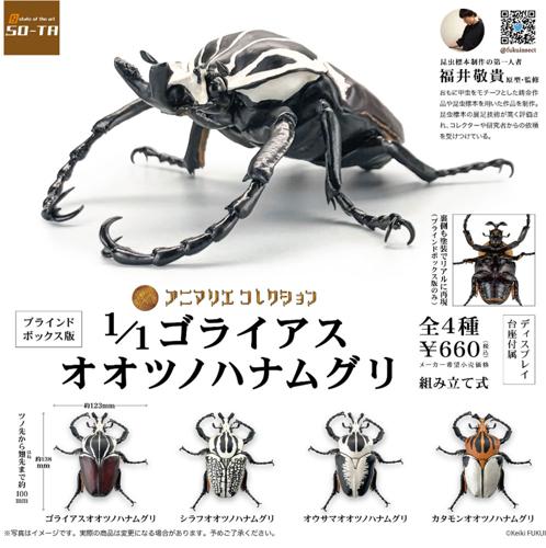 安いゴライアス ハナムグリの通販商品を比較 | ショッピング情報 安いゴライアス ハナムグリの通販商品を比較 | ショッピング情報