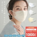 \4/30迄 12800円→10800円!1箱あたり270円/ 不織布 マスク 小さめ プリーツマスク 大きめ マスク 子供用 大容量 2040枚 立体マスク ...