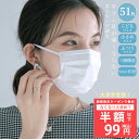 【最安値挑戦★期間限定クーポンで最安1箱99円】 マスク 小さめ プリーツマスク 子供用 不織布マスク 大きめ 使い捨てマスク 大人用 大容量51枚 くちばし ...