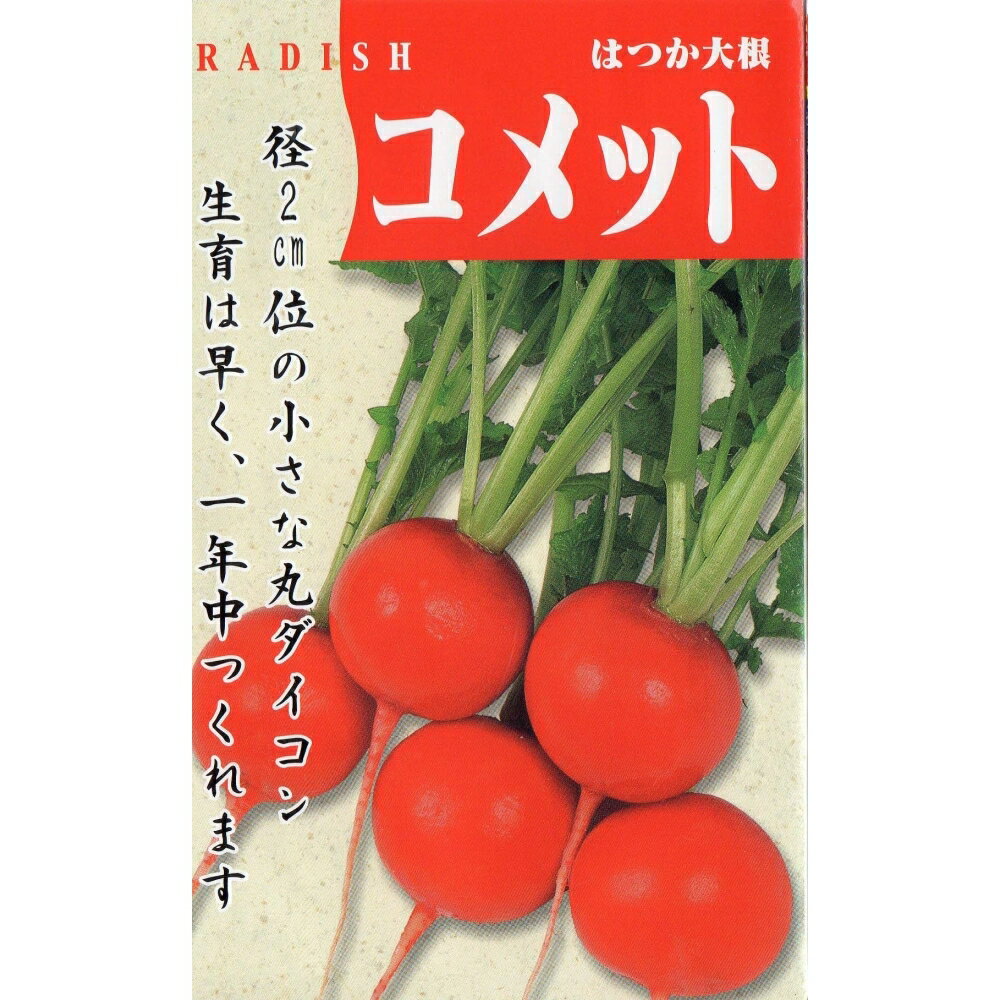 赤丸廿日大根