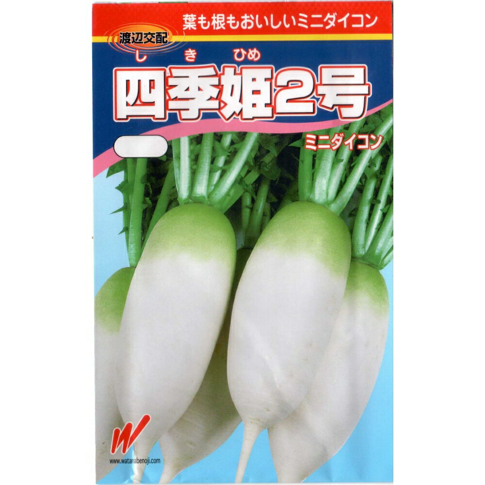 四季姫2号大根