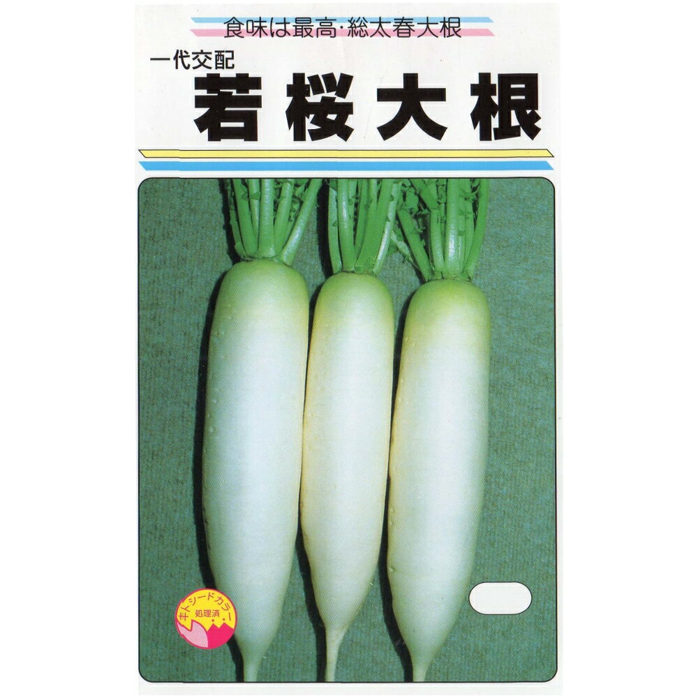 ߤŤ۾Ź㤨ּ纬פβǤʤ110ߤˤʤޤ