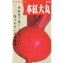 本紅大丸かぶ