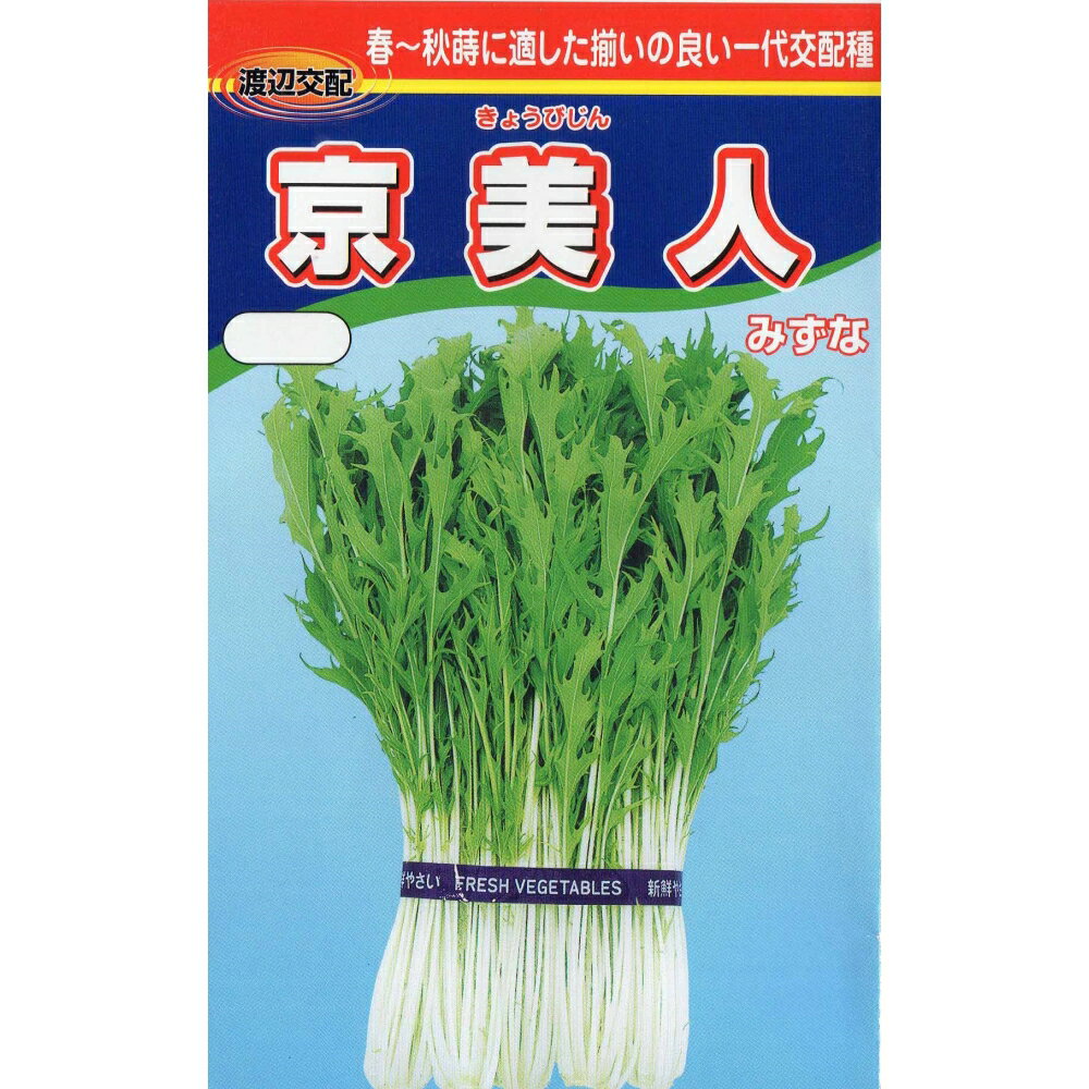 京美人水菜