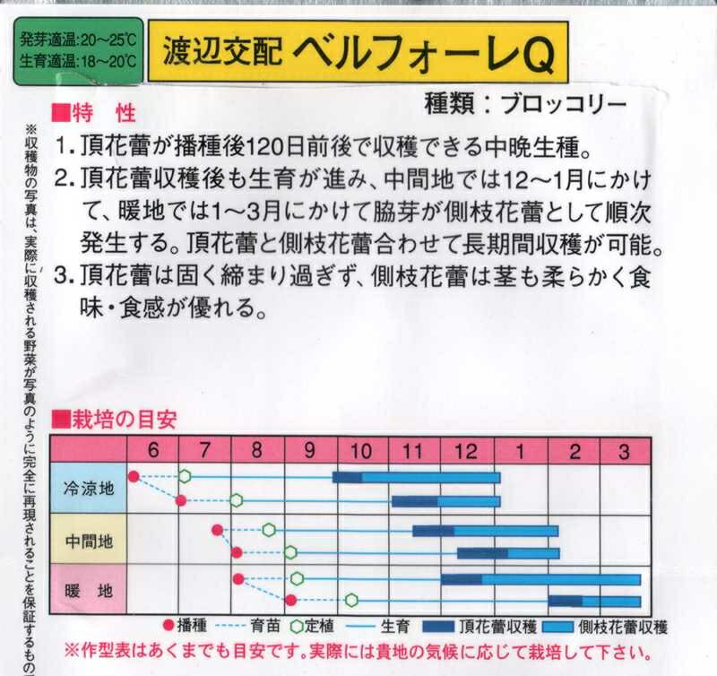 ベルフォーレQ ブロッコリ