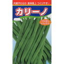 カリーノ菜豆（つるなし）